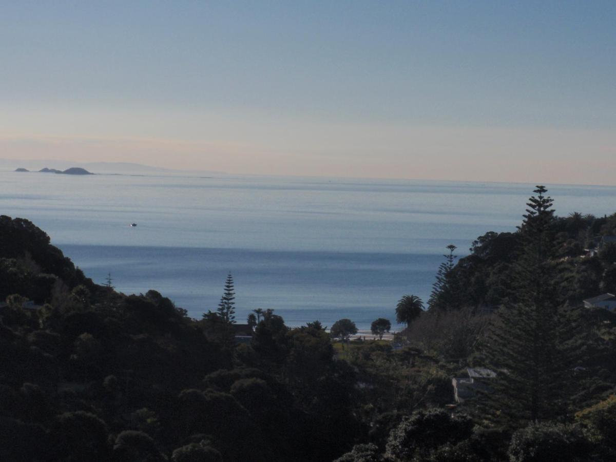 Supacute Character Cottage, Wifi, Sky Tv, Spa Bath, Spa Bath, Dble Kayak And Possibly A Car! Palm Beach Buitenkant foto
